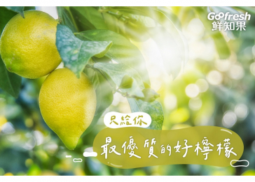 鮮知果優質檸檬